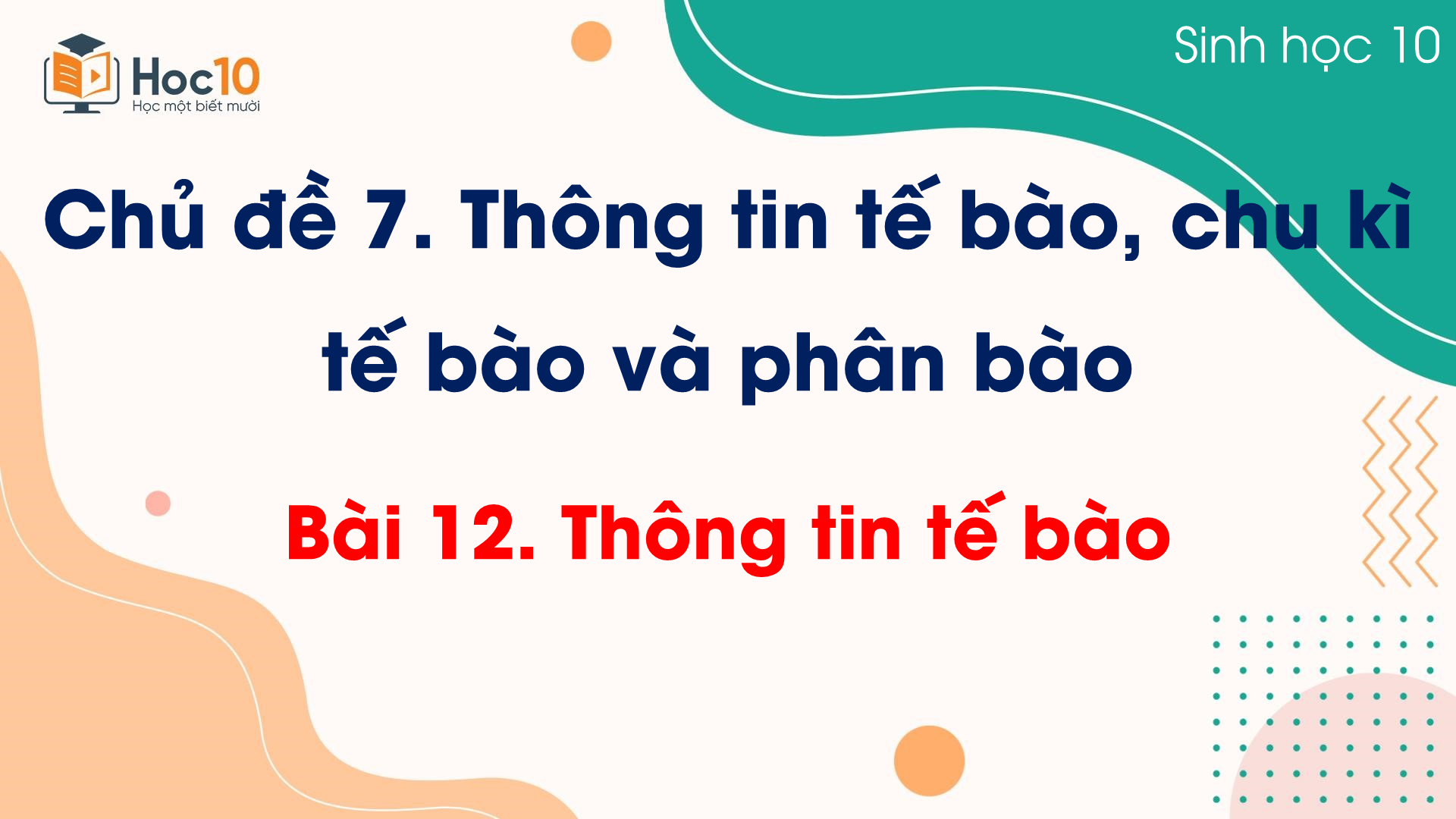 Bài 12 Thông tin tế bào